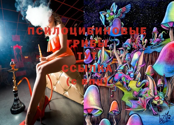 дурь Наволоки